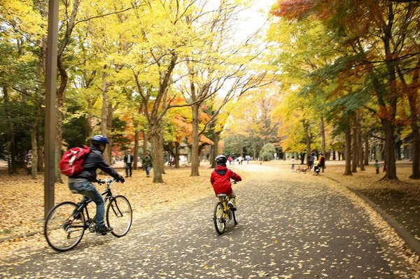 Guide du Cyclisme Urbain: Équiper et Sécuriser Votre Trajet